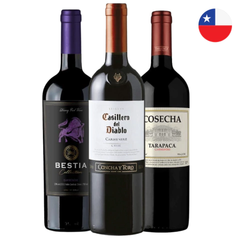 Kit Chilenos Carmenere